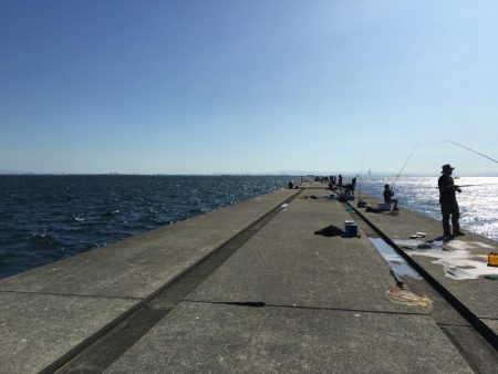 ハマチ・サゴシ